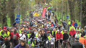 Thousands protest at Pedal on Parliament (photo by Chris Hill).